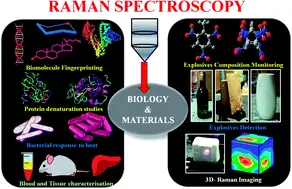 Raman Spectroscopy of Biological Tissues