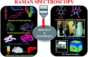 Raman Spectroscopy of Biological Tissues 