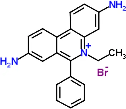 Chemical Structure of Ethidium Bromide