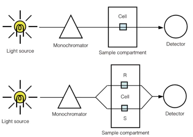 The Trajectory Of Light Rays In Both Spectrophotometers