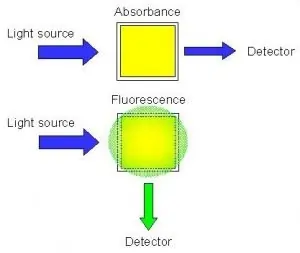 Fluorometric Method for DNA Quantification
