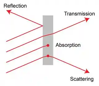 Different Fundamental Light Processes