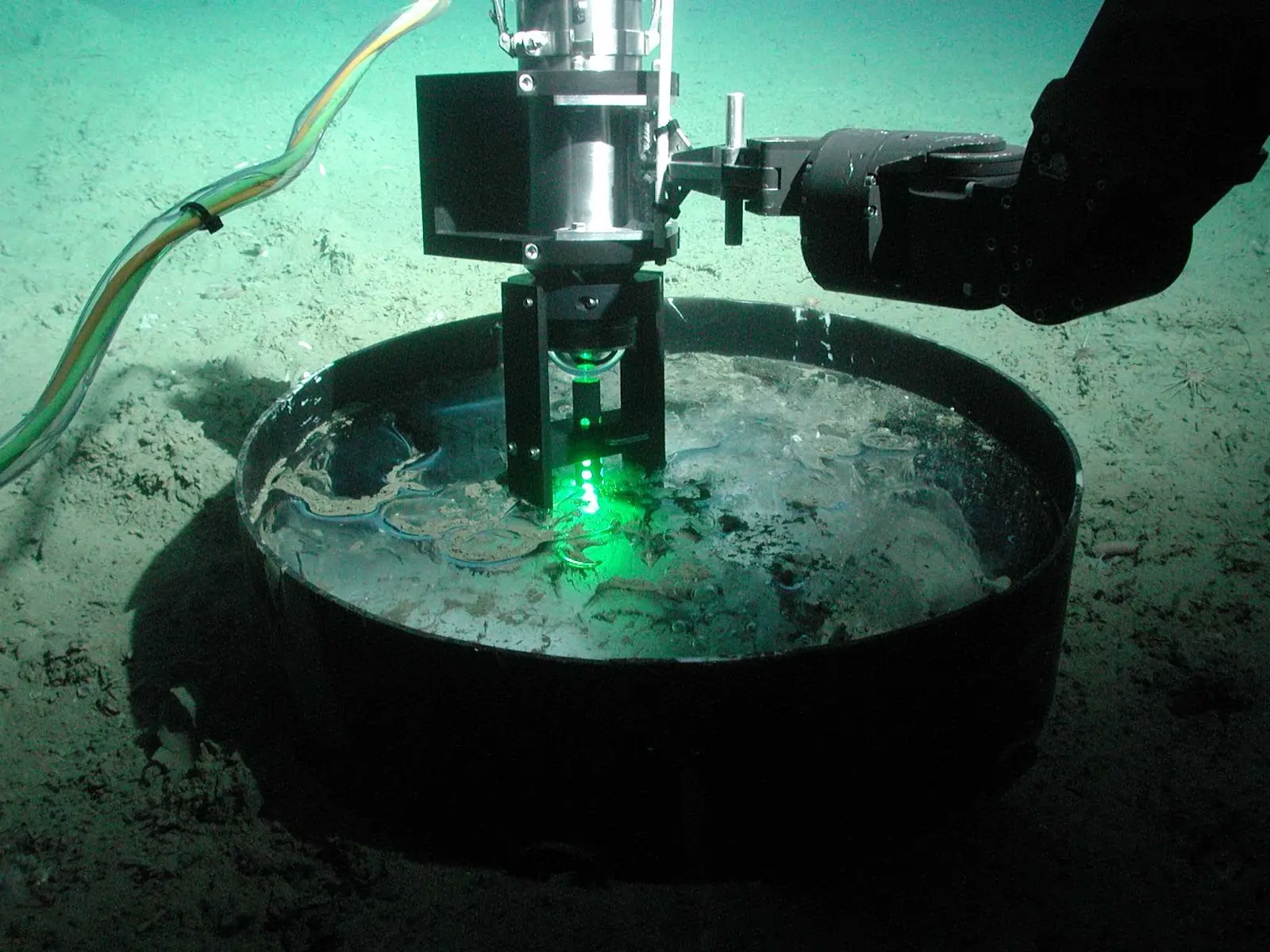 Laser Raman Spectroscopy in Depth of the Ocean