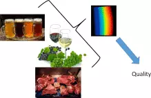 Importance of UV-Vis spectroscopy in food industries