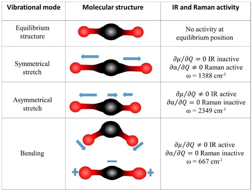 Infrared and Raman Spectroscopy