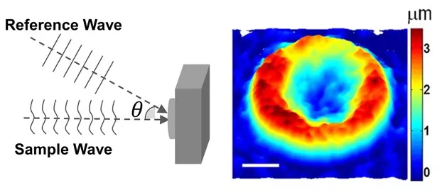 The Interferences Waves Causes The Illumination 