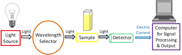 Main components of UV-Vis Spectrophotometer