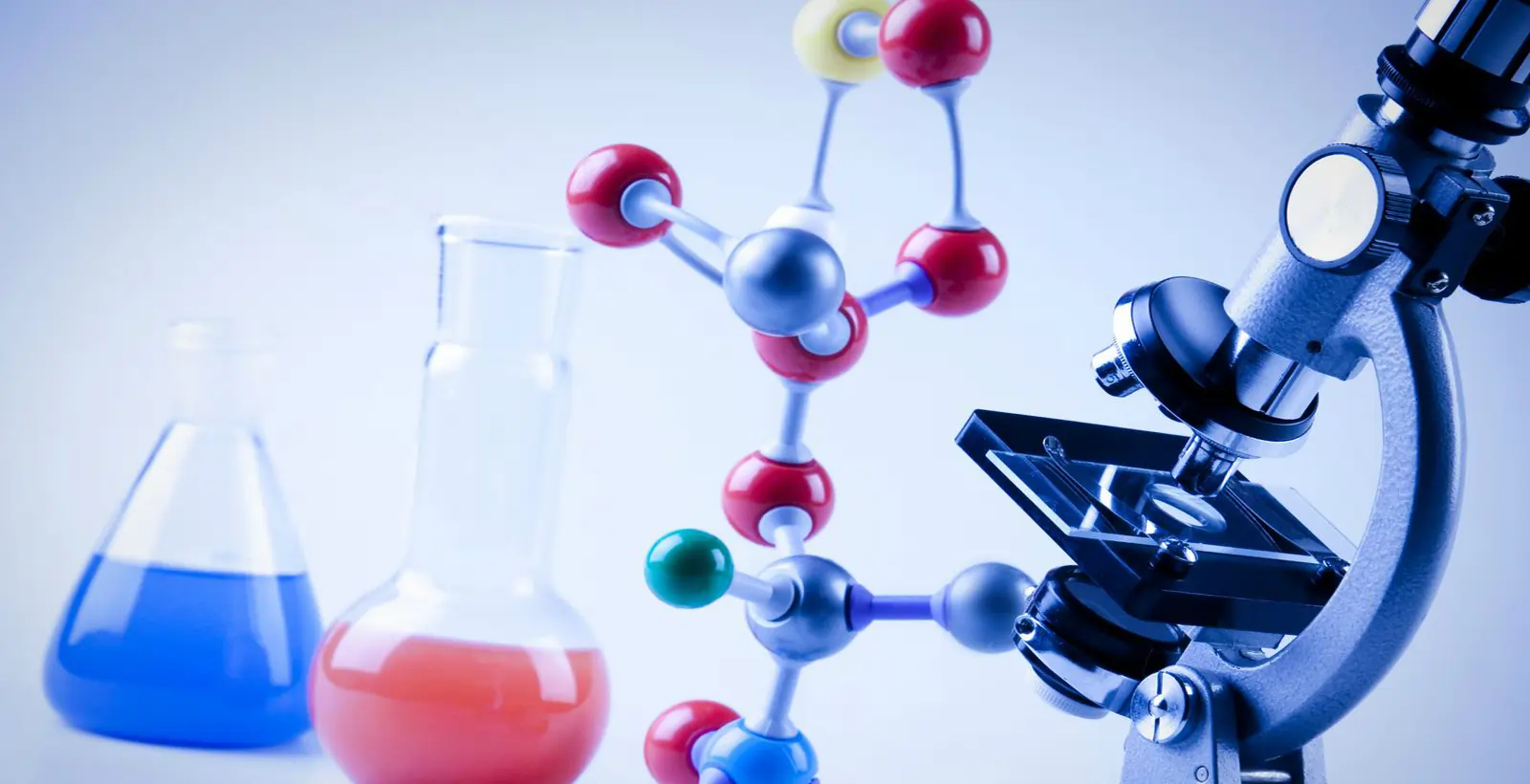 The PCR In Life Science Research