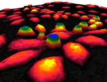 The After Alignment Of Phase Contrast Microscope