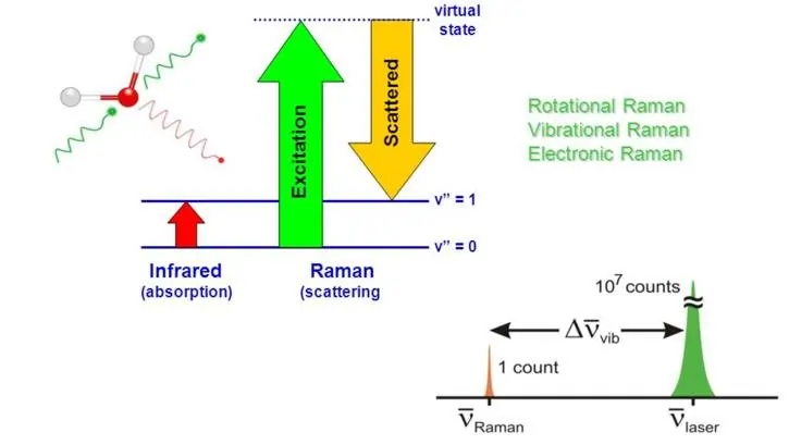 Understanding Raman Spectroscopy - Principles and Theory