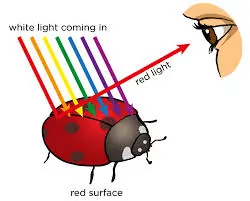 The Example Of An Dispersion Process In An Double Beam UV Spectrophotometer.