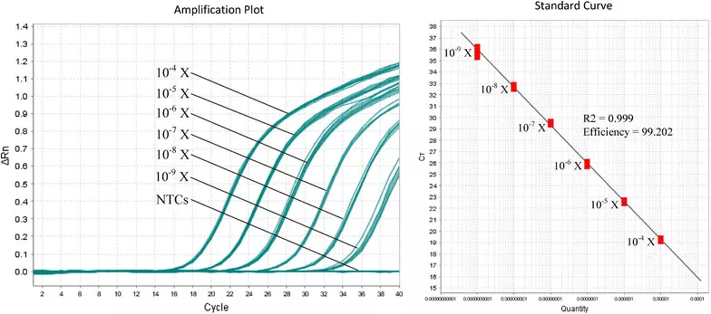 Quantification Methods for Extracted DNA & RNA