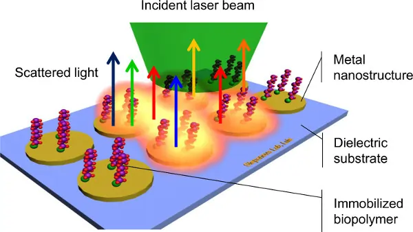 Raman Spectroscopy: Successes, Challenges, and Pitfalls