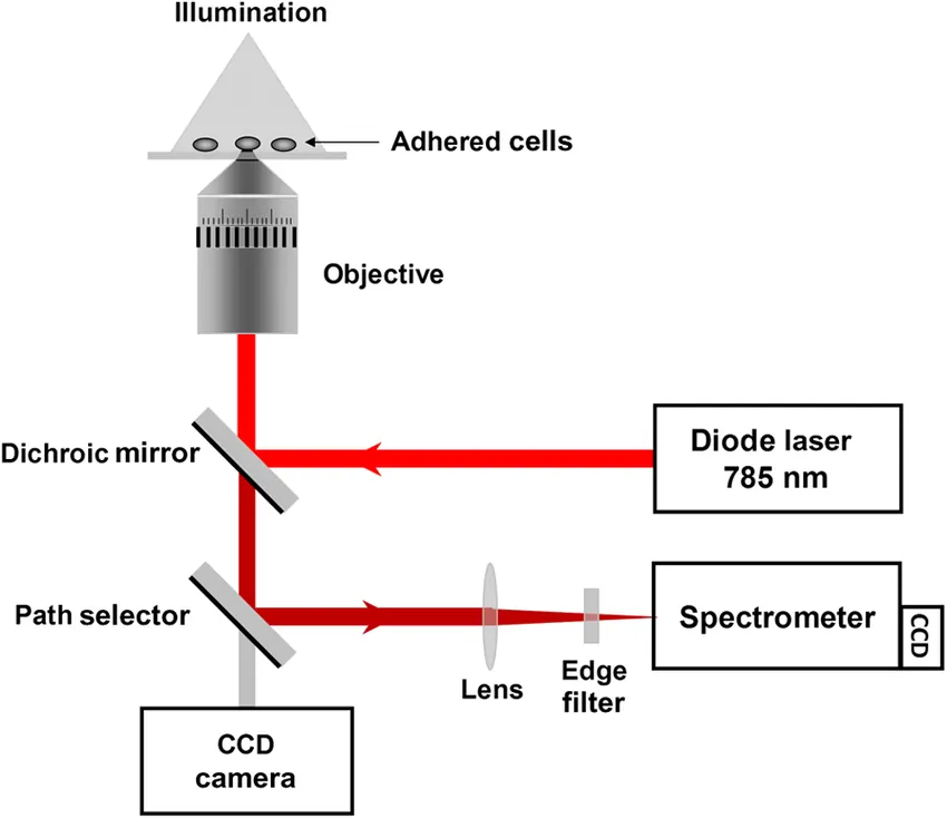Single-Cell Micro Raman Spectrometer