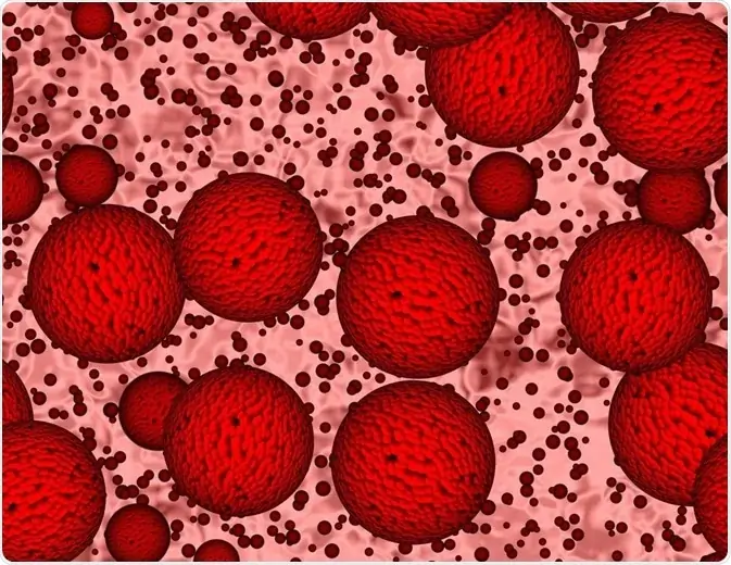 The Science of Micro Raman Spectroscopy