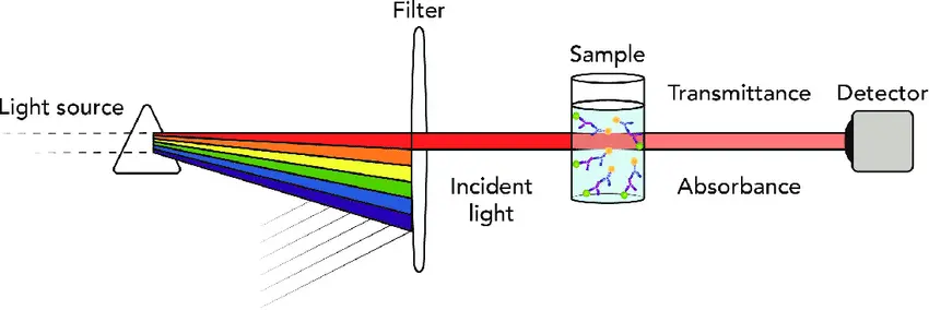 Basis of Spectrophotometer