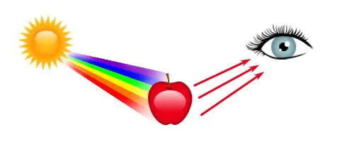 Spectrophotometer color and light