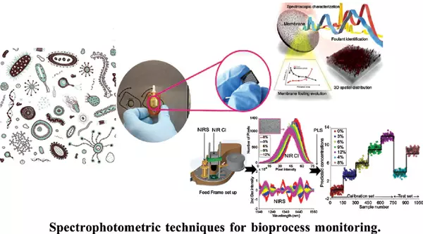 Spectrophotometer techniques for bioprocess and fermentation monitoring