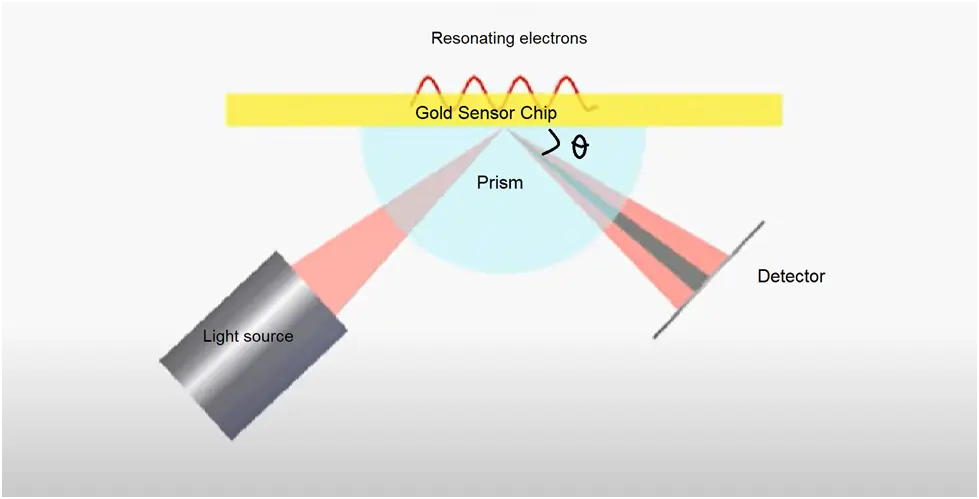 How does the Surface Plasmon Resonance work?