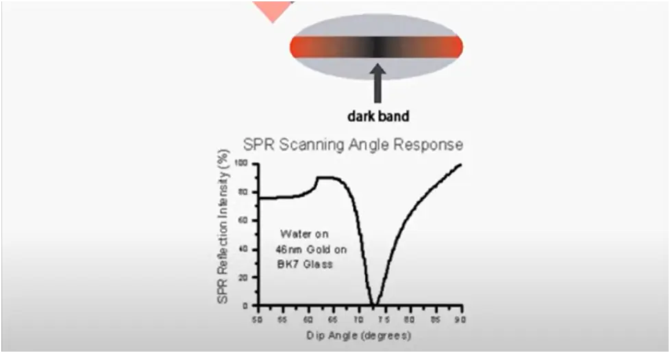 Surface Plasmon Resonance dark band in the detector 