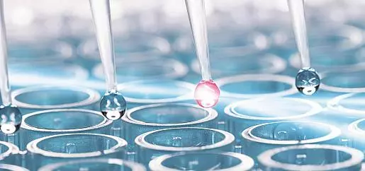 The Filing Of Reaction Samples In The Wells