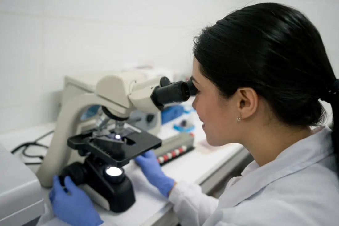 The Mounting Of Sample On The Microscope 