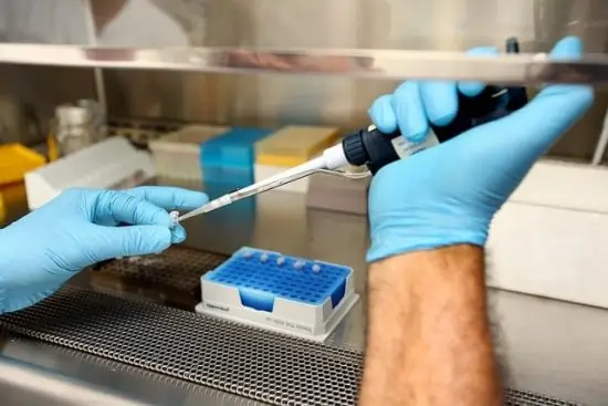 The Filling Of Wells In The Process Of PCR