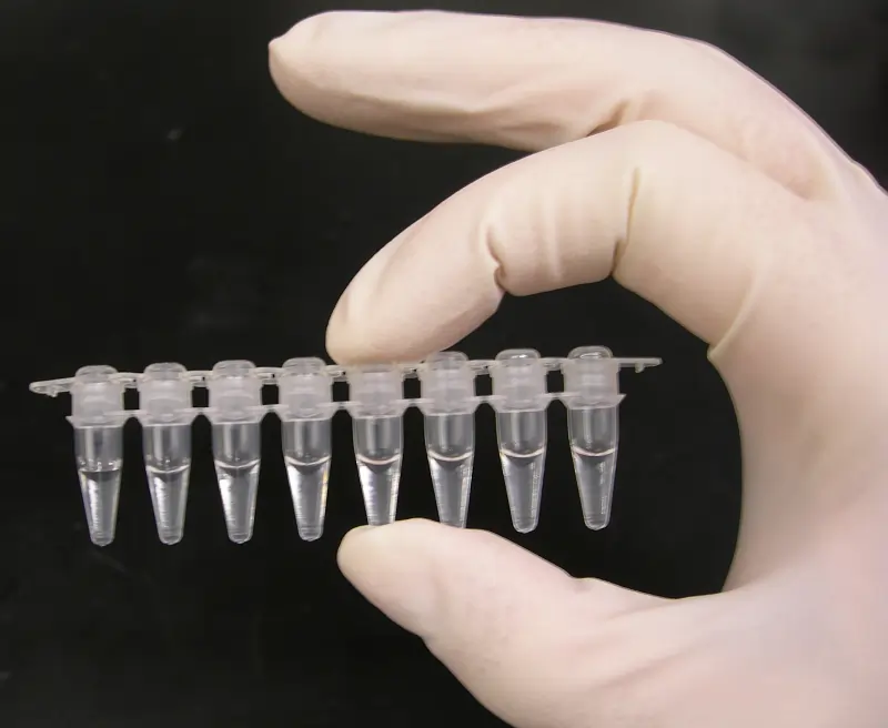 The Tubes Or Wells Of PCR