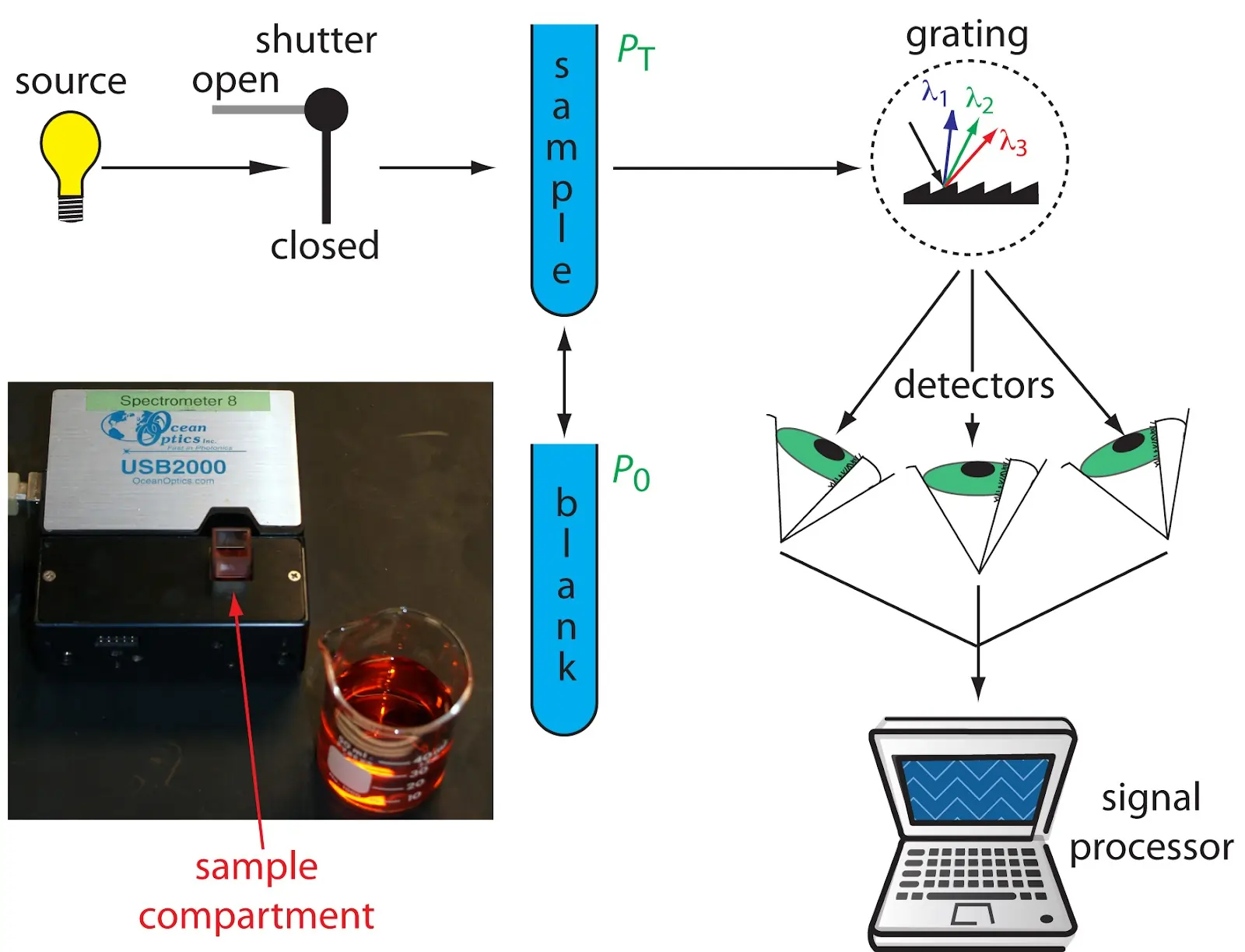 Working of UV-Vis Spectrophotometer