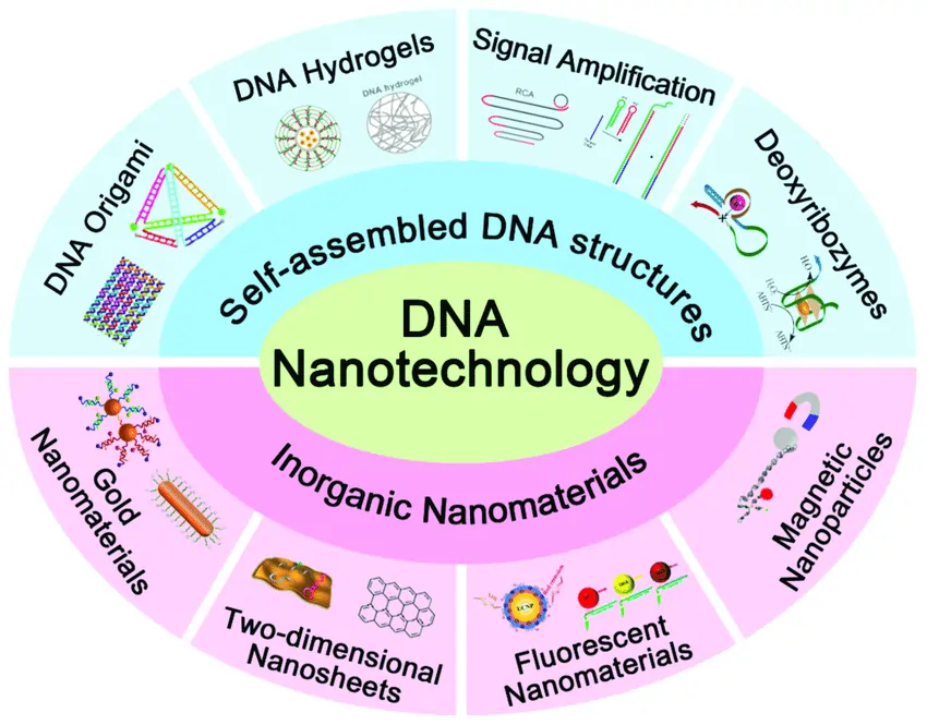 DNA in the Field of Nanotechnology