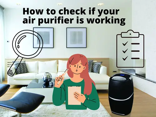 Test If Your Air Purifier Is Working