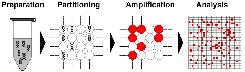 Digital Polymerase Chain Reaction (DPCR) And Its Applications