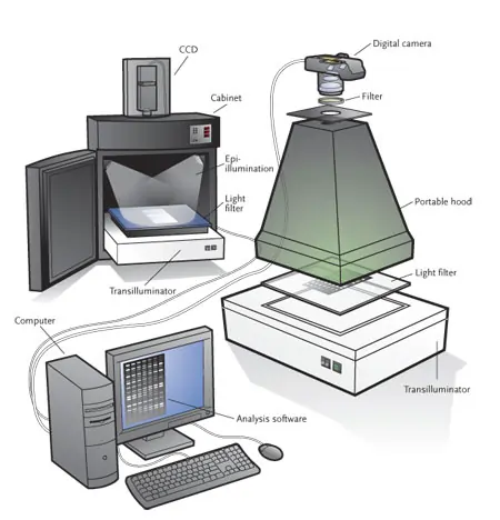 Different Components of Gel Documentation System