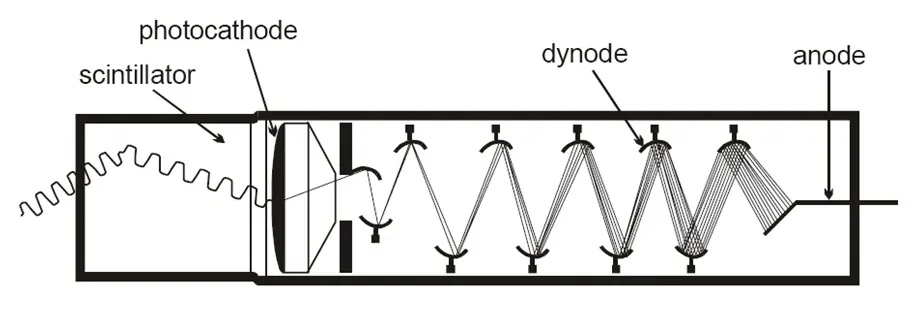 Photomultiplier Tube Detector in UV-Vis Spectroscopy