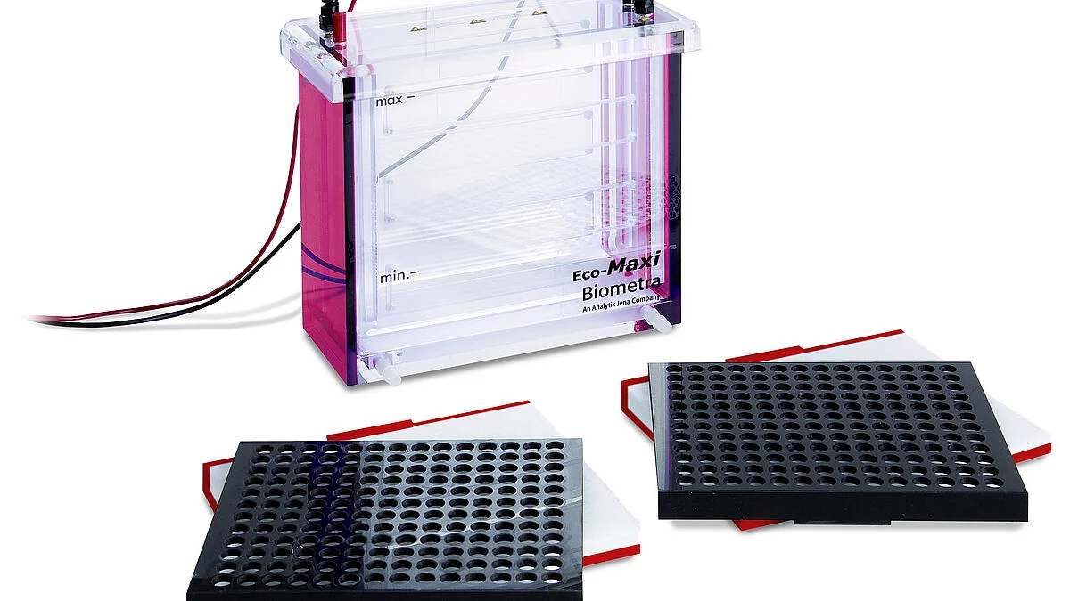 Biometra Tankblot